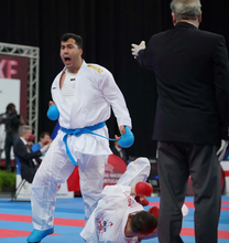 Load image into Gallery viewer, WKF Approved Body Guard